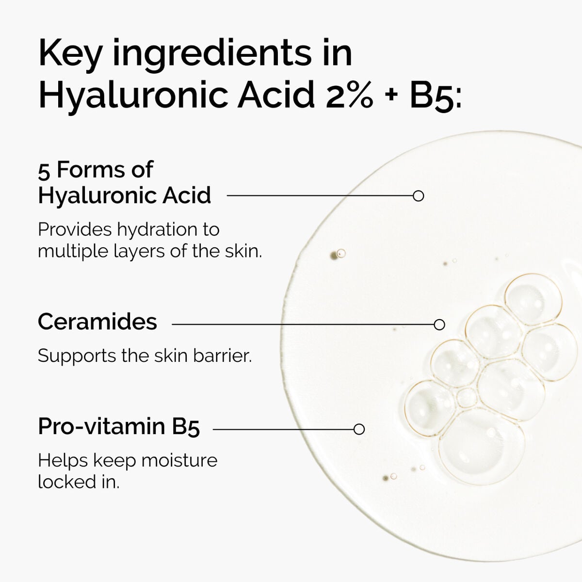 hyaluronic-acid-2-b5-with-ceramides-s7 ord-hyaluronic-acid-2pct-b5-hydrating-serum-ingredients-graphic.jpg