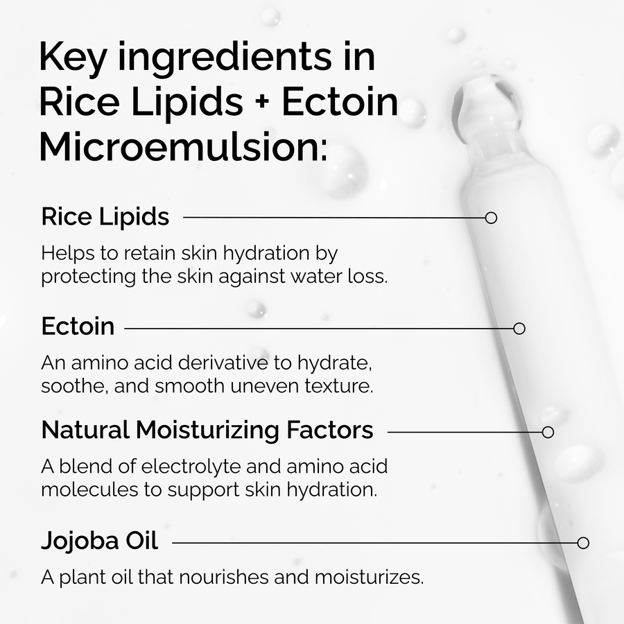 rice-lipids-ectoin-microemulsion-l7 ord-rice-lipids-ectoin-microemulsion-key-ingredients.png