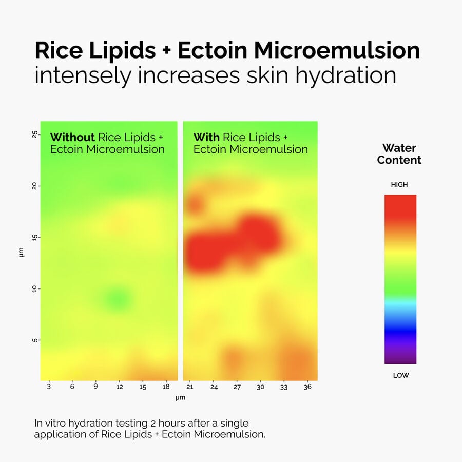rice-lipids-ectoin-microemulsion-l7 ord-rice-lipids-ectoin-microemulsion-thermal-before-after.jpg